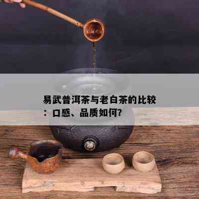 易武普洱茶与老白茶的比较：口感、品质如何？