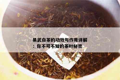 易武白茶的功效与作用详解：你不可不知的茶叶秘密