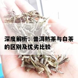 深度解析：普洱熟茶与白茶的区别及优劣比较