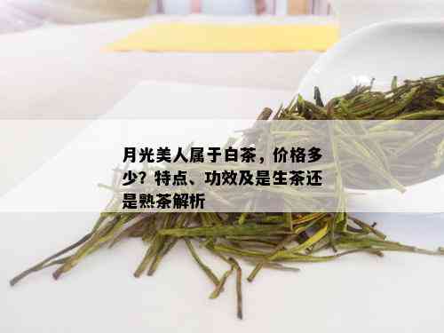 月光美人属于白茶，价格多少？特点、功效及是生茶还是熟茶解析