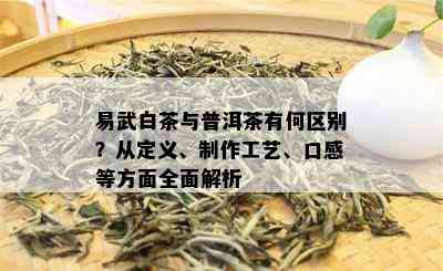 易武白茶与普洱茶有何区别？从定义、制作工艺、口感等方面全面解析