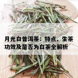 月光白普洱茶：特点、生茶功效及是否为白茶全解析