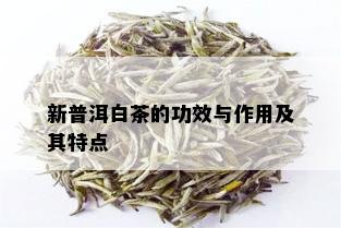 新普洱白茶的功效与作用及其特点