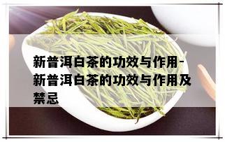 新普洱白茶的功效与作用-新普洱白茶的功效与作用及禁忌