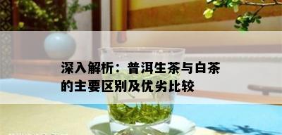 深入解析：普洱生茶与白茶的主要区别及优劣比较