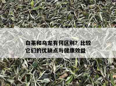 白茶和乌龙有何区别？比较它们的优缺点与健康效益