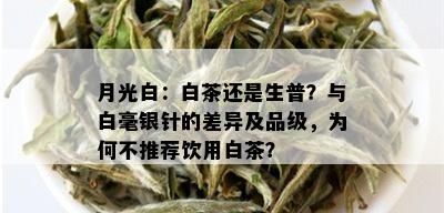 月光白：白茶还是生普？与白毫银针的差异及品级，为何不推荐饮用白茶？