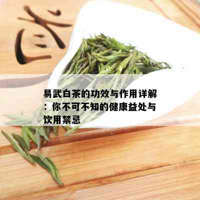 易武白茶的功效与作用详解：你不可不知的健康益处与饮用禁忌