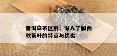 普洱白茶区别：深入了解两款茶叶的特点与优劣