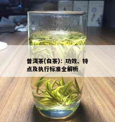 普洱茶(白茶)：功效、特点及执行标准全解析