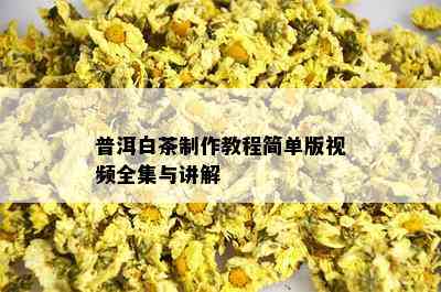 普洱白茶制作教程简单版视频全集与讲解