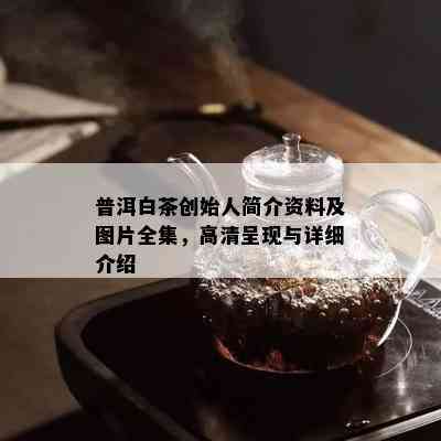 普洱白茶创始人简介资料及图片全集，高清呈现与详细介绍