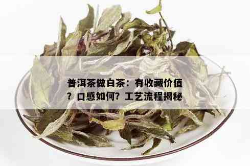 普洱茶做白茶：有收藏价值？口感如何？工艺流程揭秘