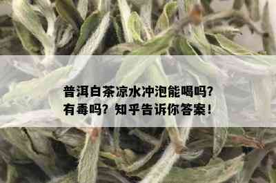 普洱白茶凉水冲泡能喝吗？有吗？知乎告诉你答案！