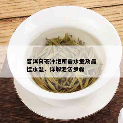 普洱白茶冲泡所需水量及更佳水温，详解泡法步骤