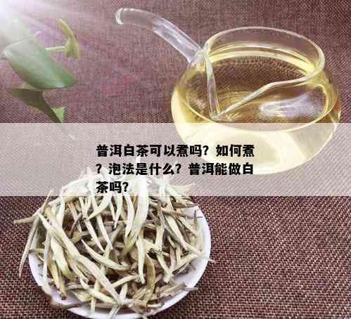 普洱白茶可以煮吗？如何煮？泡法是什么？普洱能做白茶吗？