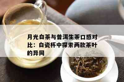 月光白茶与普洱生茶口感对比：白瓷杯中探索两款茶叶的异同