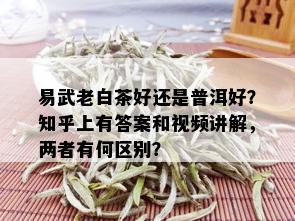 易武老白茶好还是普洱好？知乎上有答案和视频讲解，两者有何区别？