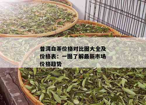 普洱白茶价格对比图大全及价格表：一图了解最新市场价格趋势