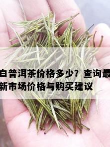 白普洱茶价格多少？查询最新市场价格与购买建议