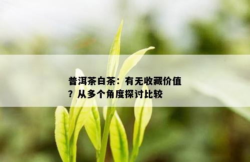 普洱茶白茶：有无收藏价值？从多个角度探讨比较