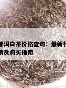 普洱白茶价格查询：最新行情及购买指南