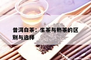 普洱白茶：生茶与熟茶的区别与选择