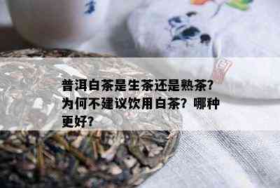 普洱白茶是生茶还是熟茶？为何不建议饮用白茶？哪种更好？