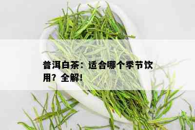 普洱白茶：适合哪个季节饮用？全解！