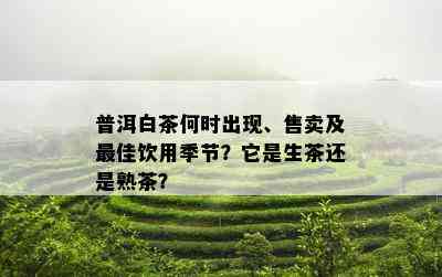 普洱白茶何时出现、售卖及更佳饮用季节？它是生茶还是熟茶？