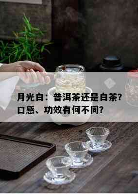 月光白：普洱茶还是白茶？口感、功效有何不同？