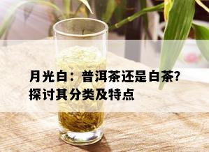 月光白：普洱茶还是白茶？探讨其分类及特点