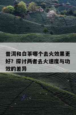 普洱和白茶哪个去火效果更好？探讨两者去火速度与功效的差异