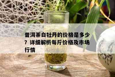 普洱茶白牡丹的价格是多少？详细解析每斤价格及市场行情