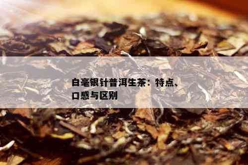 白毫银针普洱生茶：特点、口感与区别