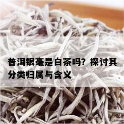 普洱银毫是白茶吗？探讨其分类归属与含义