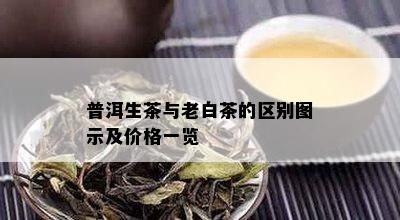 普洱生茶与老白茶的区别图示及价格一览