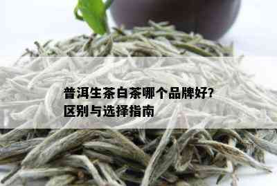 普洱生茶白茶哪个品牌好？区别与选择指南