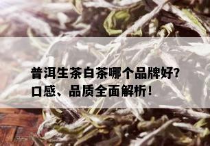 普洱生茶白茶哪个品牌好？口感、品质全面解析！