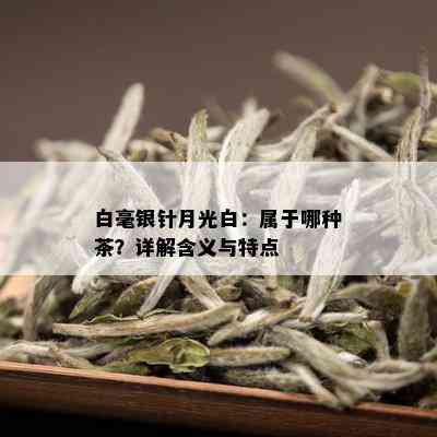 白毫银针月光白：属于哪种茶？详解含义与特点