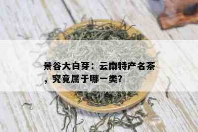 景谷大白芽：云南特产名茶，究竟属于哪一类？