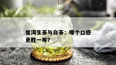 普洱生茶与白茶：哪个口感更胜一筹？