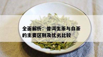 全面解析：普洱生茶与白茶的主要区别及优劣比较