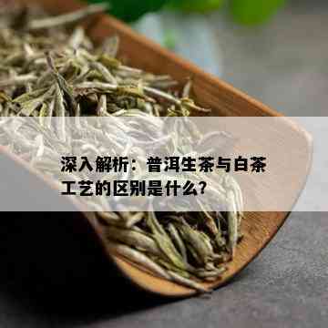 深入解析：普洱生茶与白茶工艺的区别是什么？