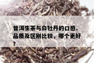 普洱生茶与白牡丹的口感、品质及区别比较，哪个更好？