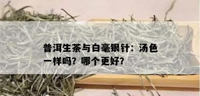 普洱生茶与白毫银针：汤色一样吗？哪个更好？