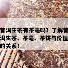 普洱生茶有茶毫吗？了解普洱生茶、茶毫、茶饼与价值的关系！