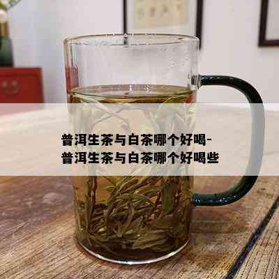 普洱生茶与白茶哪个好喝-普洱生茶与白茶哪个好喝些