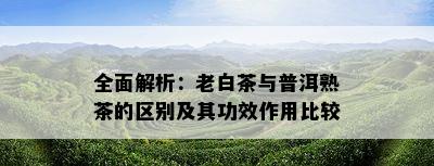 全面解析：老白茶与普洱熟茶的区别及其功效作用比较