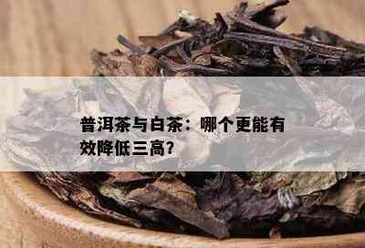 普洱茶与白茶：哪个更能有效降低三高？